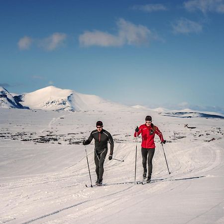 Vila Fjaellriket Baggården Exteriér fotografie