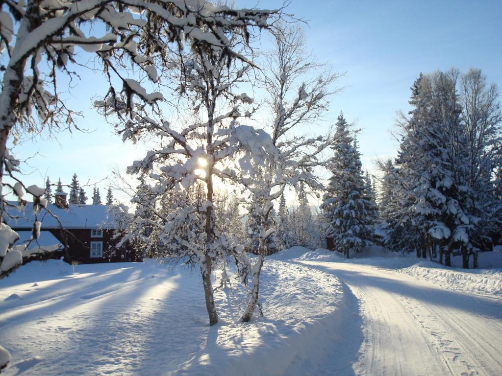 Vila Fjaellriket Baggården Exteriér fotografie